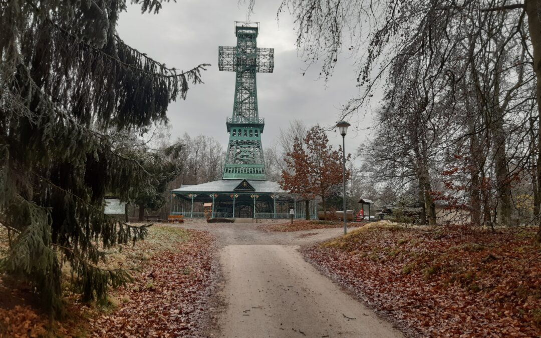 Aktion „Wir im Harz“!