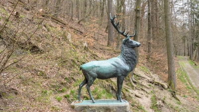 Hirschdenkmal und Lutherbuche: Wandern um Stolberg (Harz)